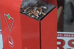 291